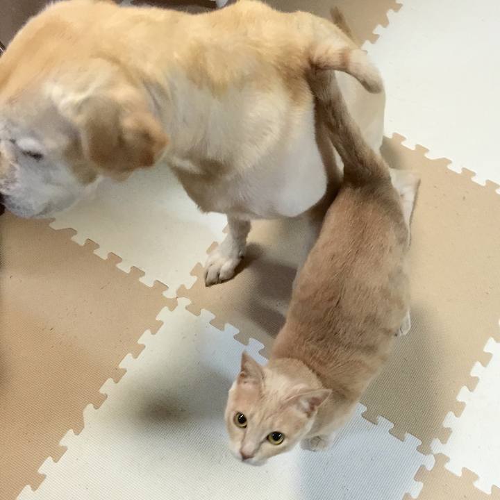 59335f2c 9544 4e6e 9635 372a8e484ca8