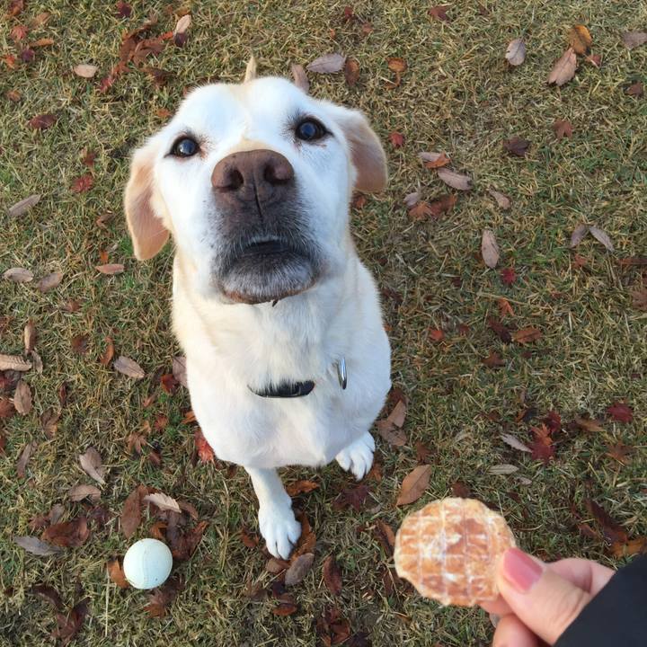 59336a3d 03f2 47e2 b391 924d46844aac