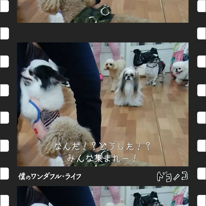 5933c044 035f 4377 8e81 5264316bc852