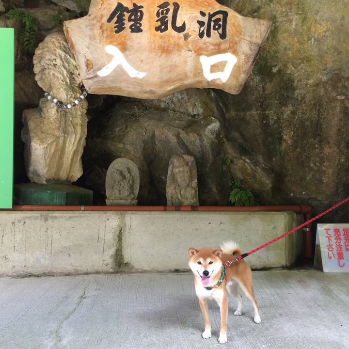 59342fb0 a01b 4d57 865b fdef1283b04f