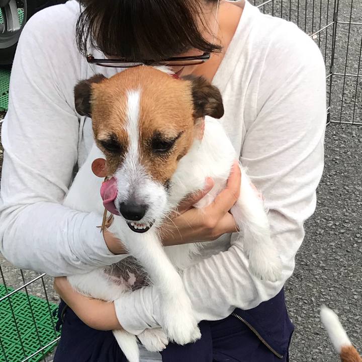 5934c5e6 05cf 42d1 ace1 36b4140ea9d0