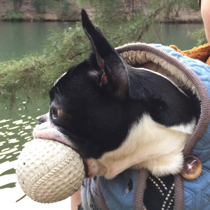 5934ca0f a754 448f ad62 e71e707e3a1f