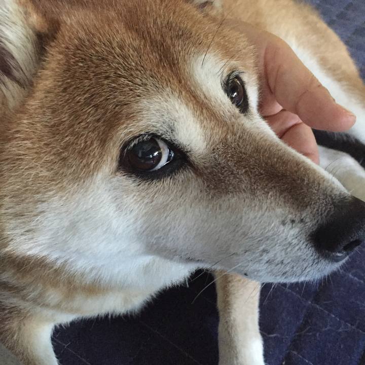 59358da7 1b23 4e65 a76e 7f852ae8c292