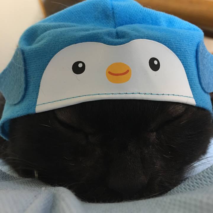 5935cd34 490e 4d28 8135 c46175ab6202