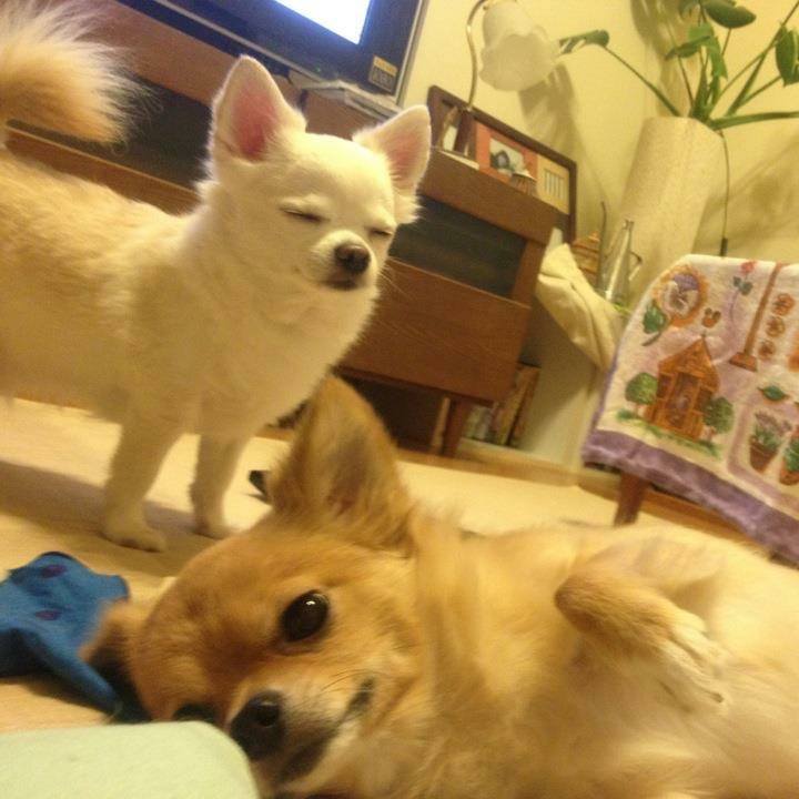 5935d5d1 e799 44f2 842f 46b03f981753