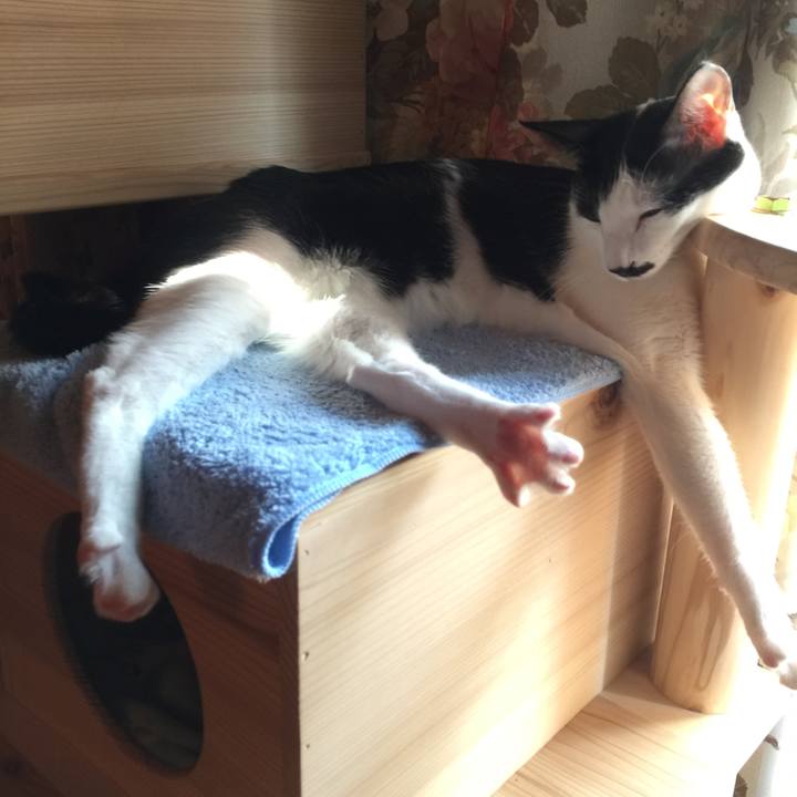 593681d6 5760 4dc7 8d3e 651de14c6df3