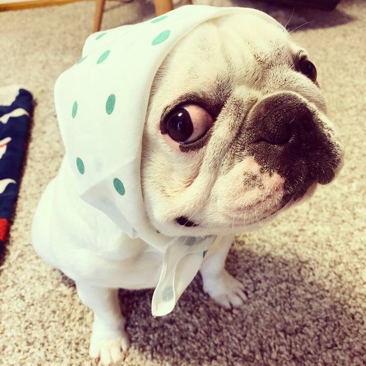 5936c266 2364 435b 8bc4 4088c806f79c