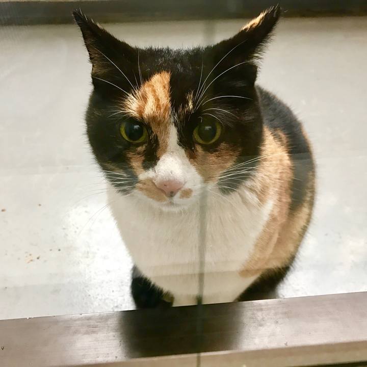 5937267a 2047 427b 9de9 6b8174c495a9