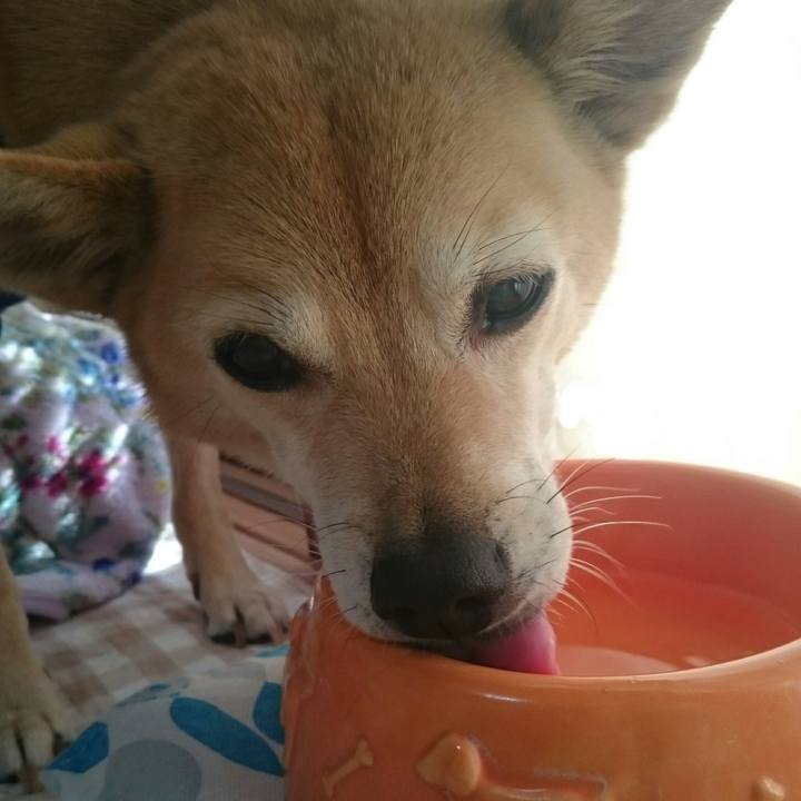 5937804d 6f9f 43d5 9d65 c93149e71d60