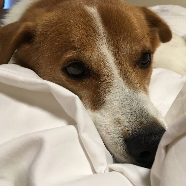 5937828f a21b 4640 97bf 571cd83b6755