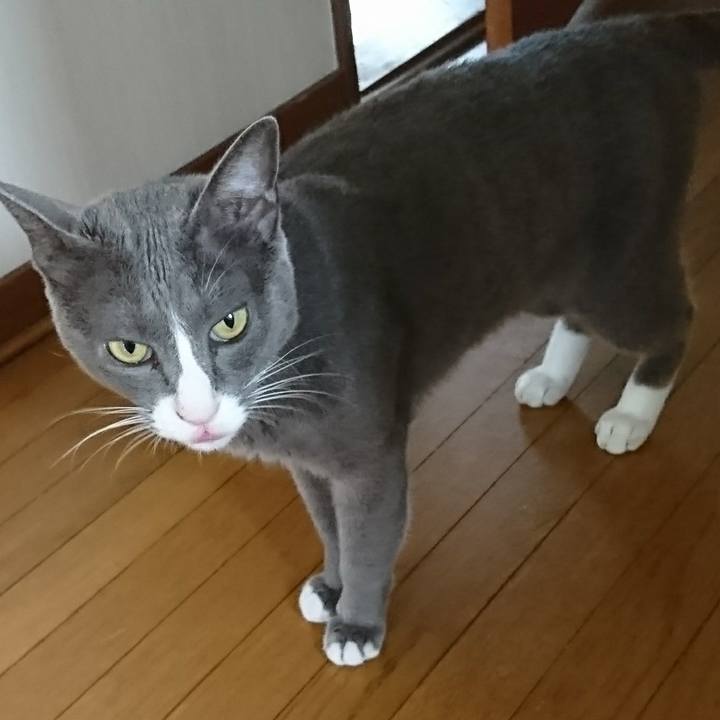 5938154f b797 40c7 a155 c1f008c4ce7f