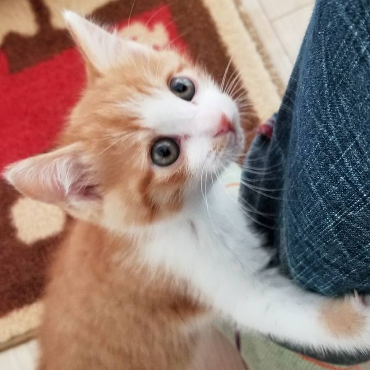 593877a1 2582 4b57 9145 19459cfee11e