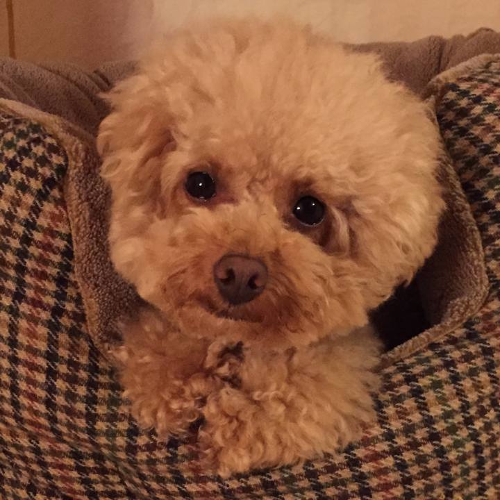 5938a506 5874 4b57 b75a 437d2cc0a08f