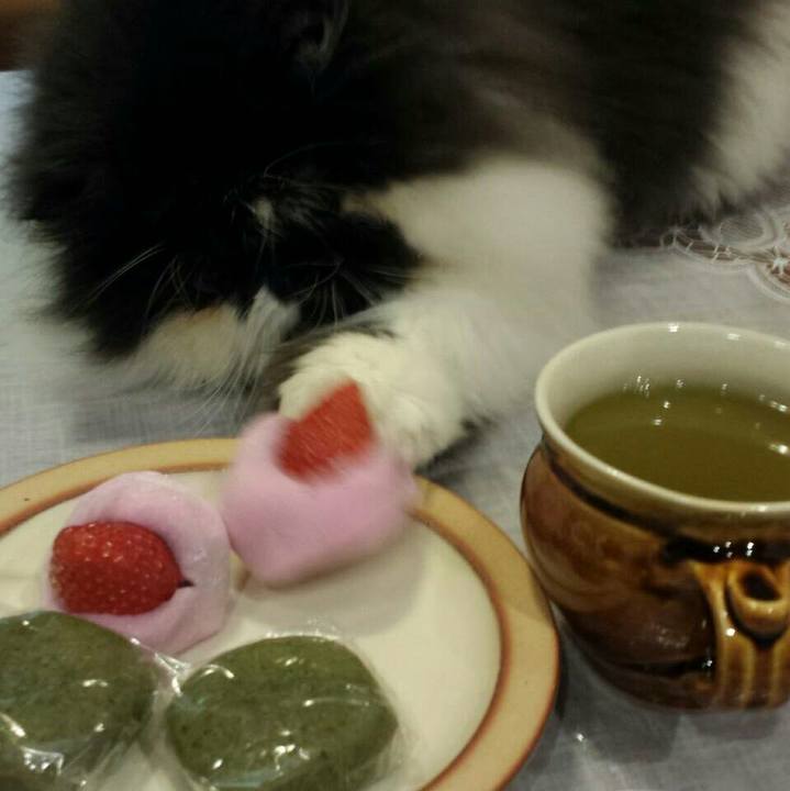 5938bcca 792b 4166 8b17 8c6c12d99c4d