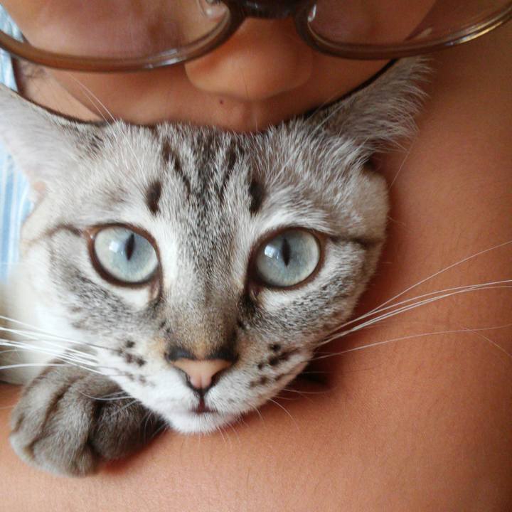 5938db3a 20d7 44b5 a126 97a3338b0d60