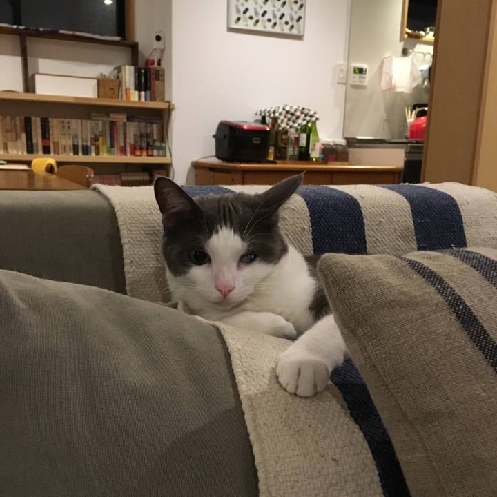 5939137f 97c7 4e5f 9d33 8f4c42f7244f