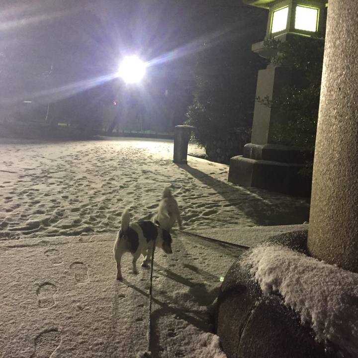 59398db6 78b6 432e 9169 93a2ddb3388f