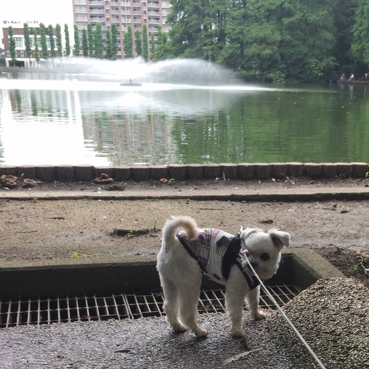 5939b626 8ed8 4ffc bfb0 4312e26cd401