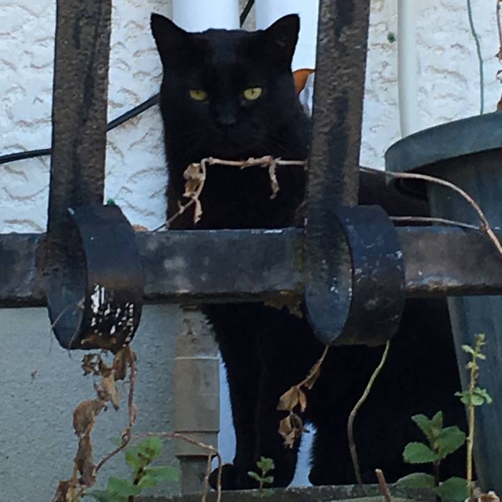 593a19c8 5cea 4d95 942a 83d712dffcb2