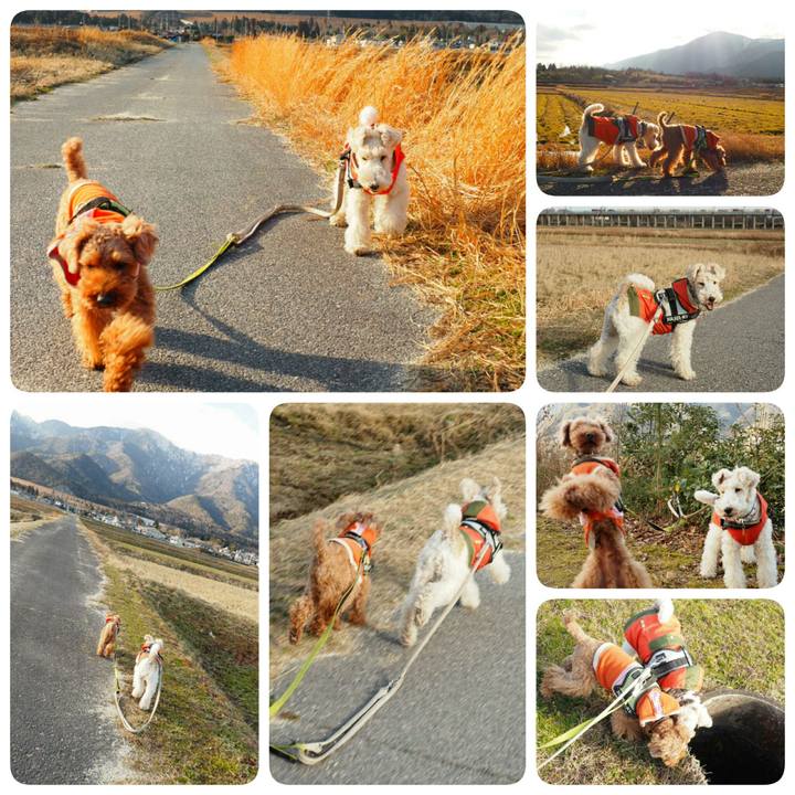 593a9ae5 ed9d 4099 ada4 bdc96ac3c9c7