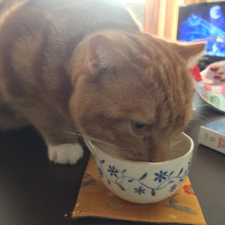 593ab0c4 4d55 45e2 a7d4 08c9992d7a11