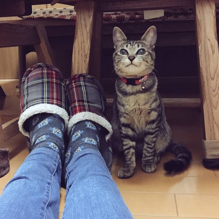 593afae1 24ed 428e 9a15 656a97cd1c0f