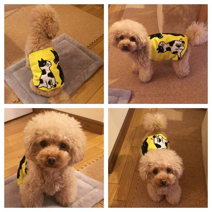 593b0398 1479 49ae 8408 210316ce8e0b