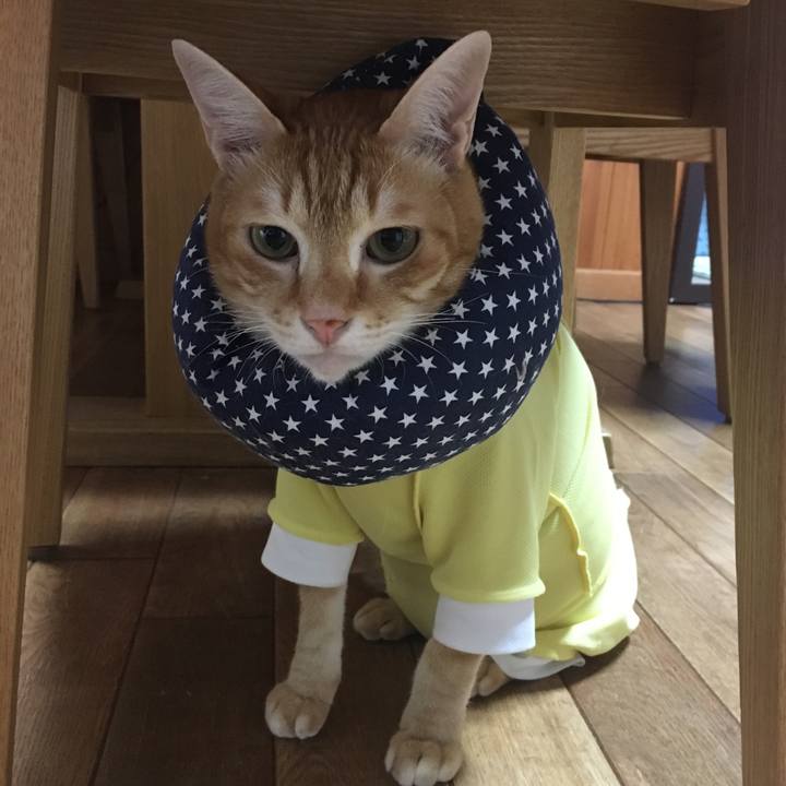 593c4291 ba39 42a0 90f5 be1e7fd709aa