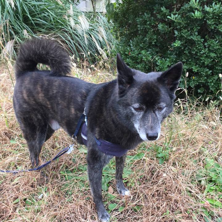 593cb07c 411e 4355 b7f8 885df6188fa3