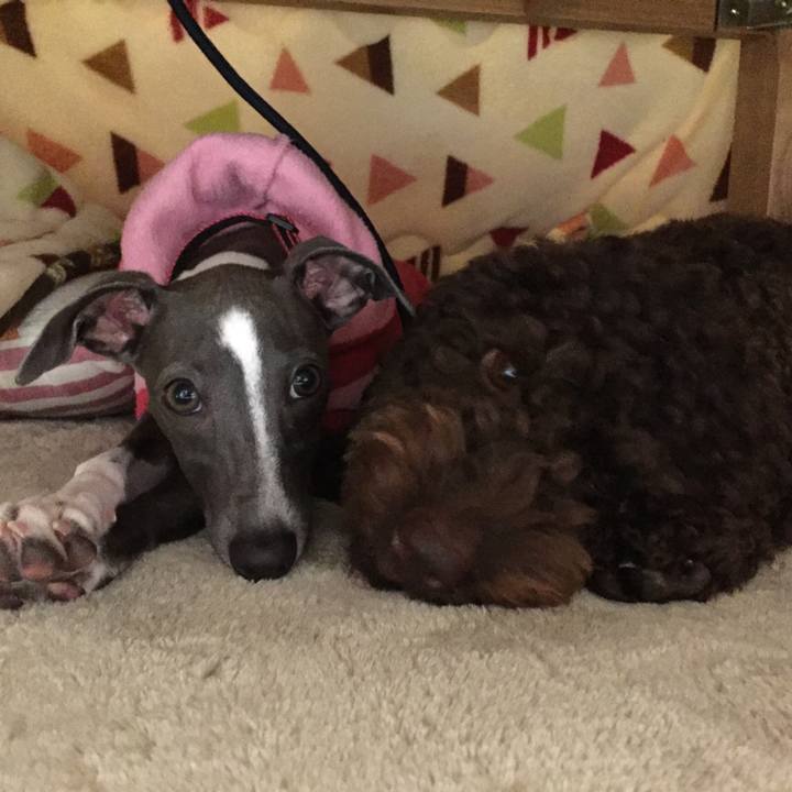 593cb57a 7a35 4c55 a67e c851c5bb983b