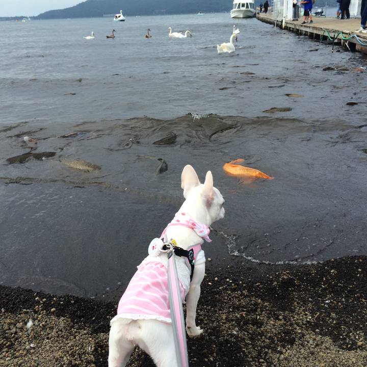 593cd8f6 ebb3 49a4 966a 4f2284f2d51e