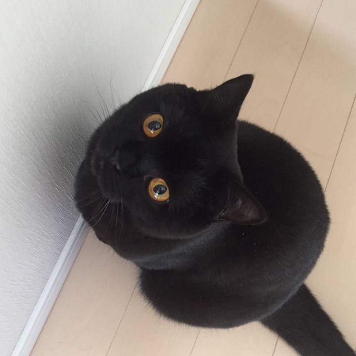 593ceac2 a73e 4fdb b7ac 23ed6eccd856