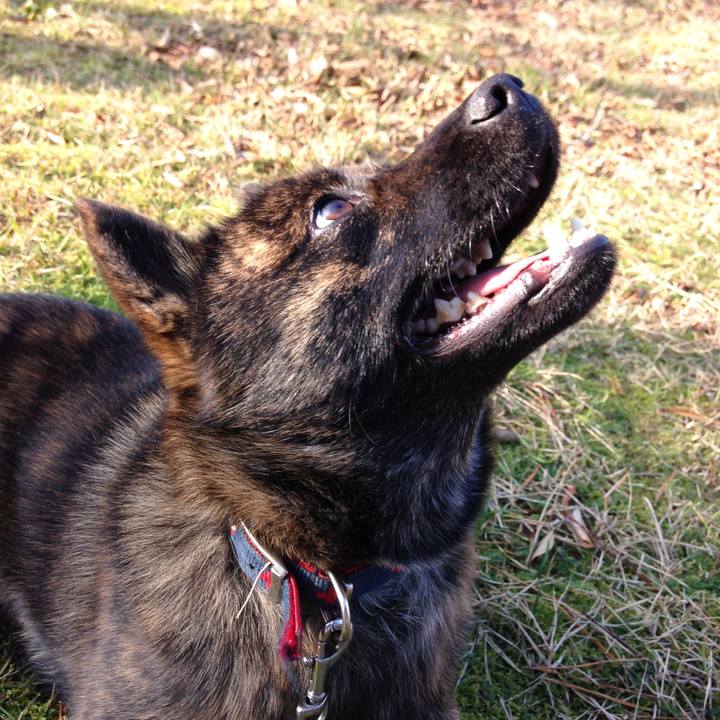 593d2cdc 817d 4a17 9e4f 95b8aab46e0e