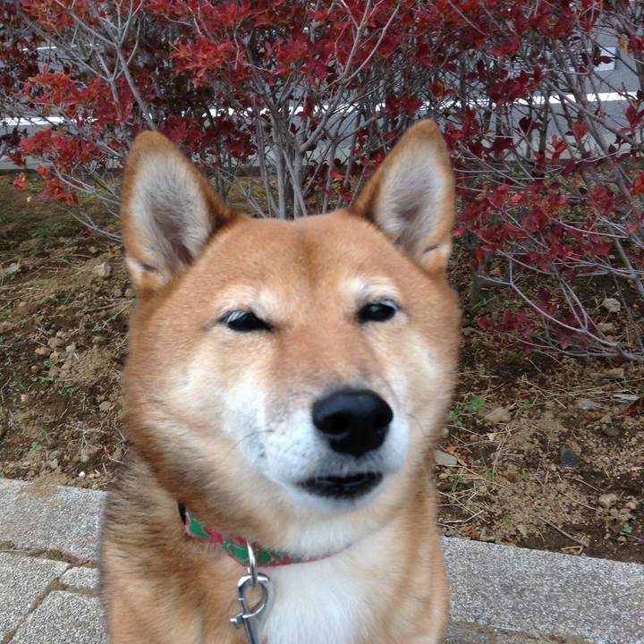 593dd106 9b54 4956 a116 5007b5f3f7ea