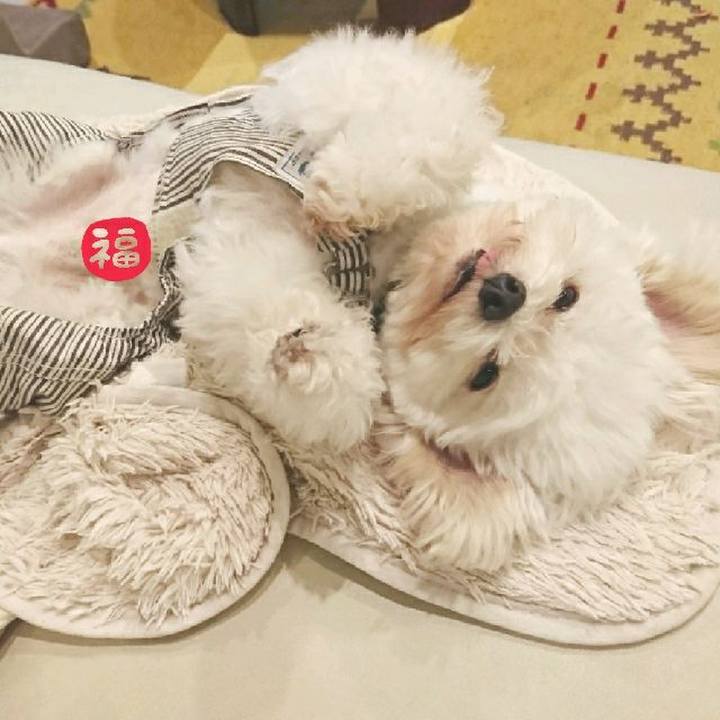 593ddc8d 100e 46a5 9815 13e7bc51b680