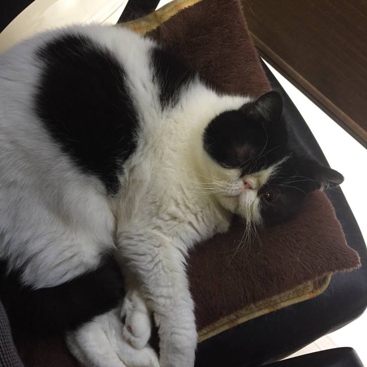 593ec875 0f7f 4965 bd5c b3479adb95c0