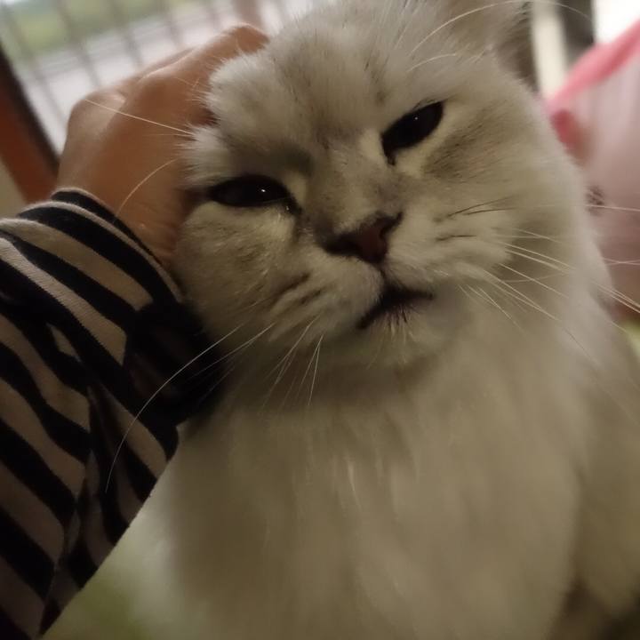 593f1645 7bdf 4b57 b15b 90a55b8a3389