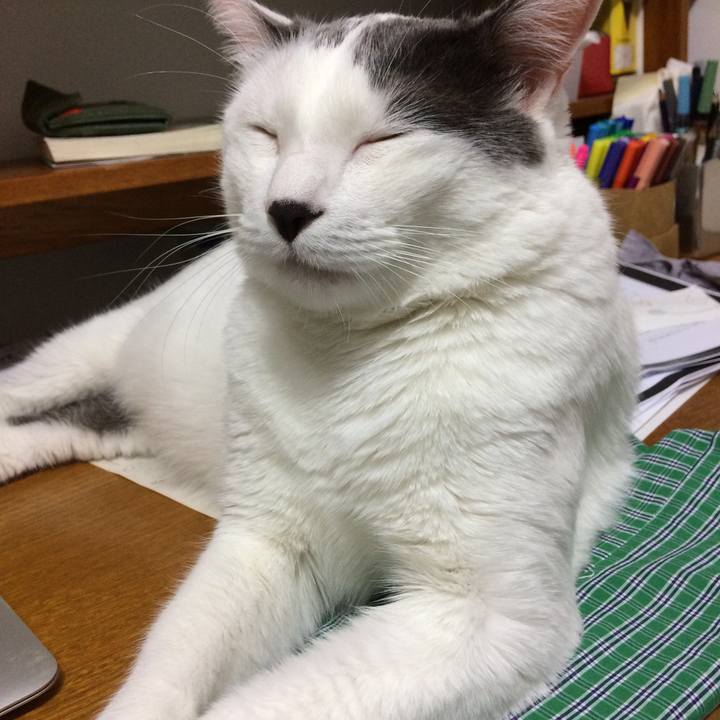 593fc423 2f42 4919 a15d 811a45df2507