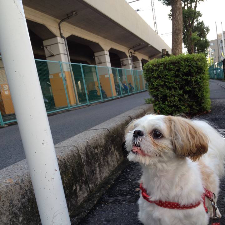 59403b26 e46f 49fc b7b8 7c40bcf374f6