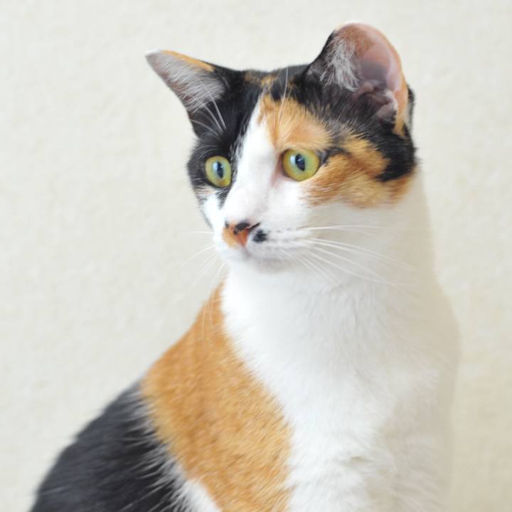 594191da 1410 446a a364 ecf59f26f49b