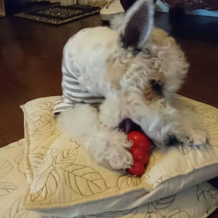 594216dc a15a 43ee bea2 61d60c031e53