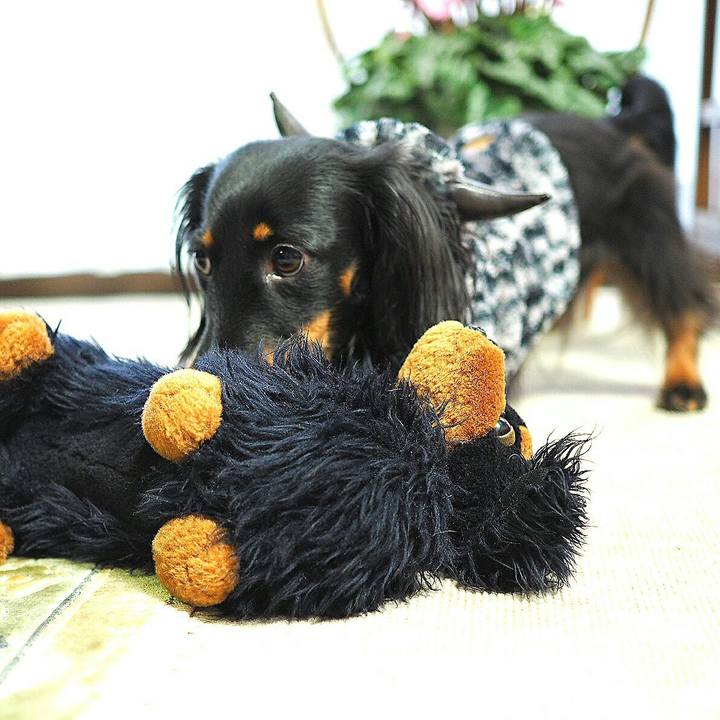 5942319d 4b71 497c b42c ed67efab6b96