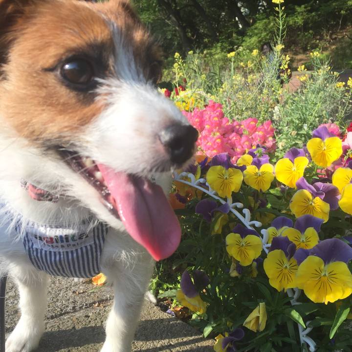 59434e4d 6276 4b12 9d15 02a9fff8bb87