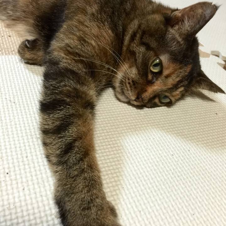 59446f91 1f89 427b bc76 c642afd876f9