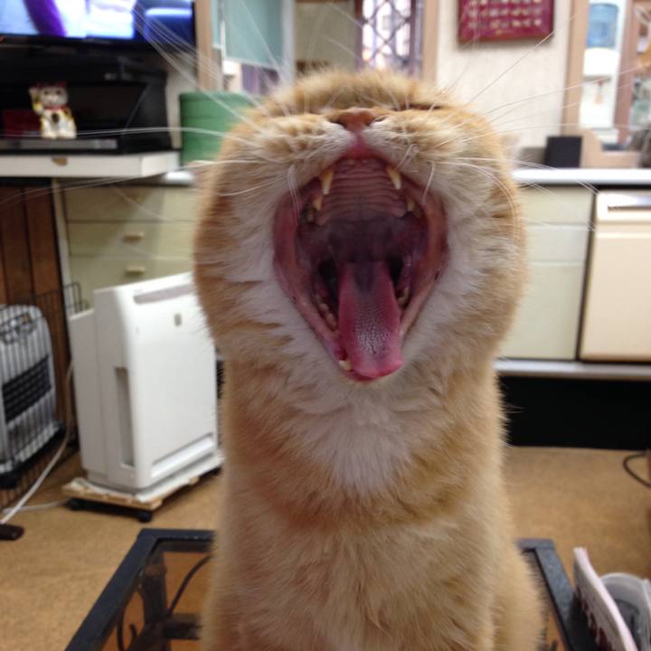 594491b8 f630 4f1f a184 de7c3c71fce8