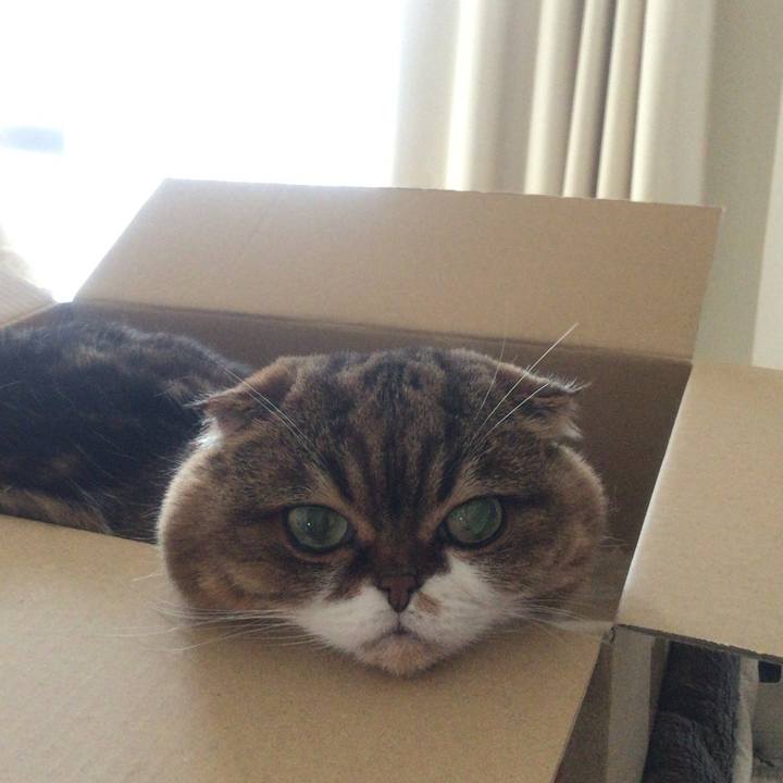 594500ff d00e 4d1f 8f03 2d291f53f829