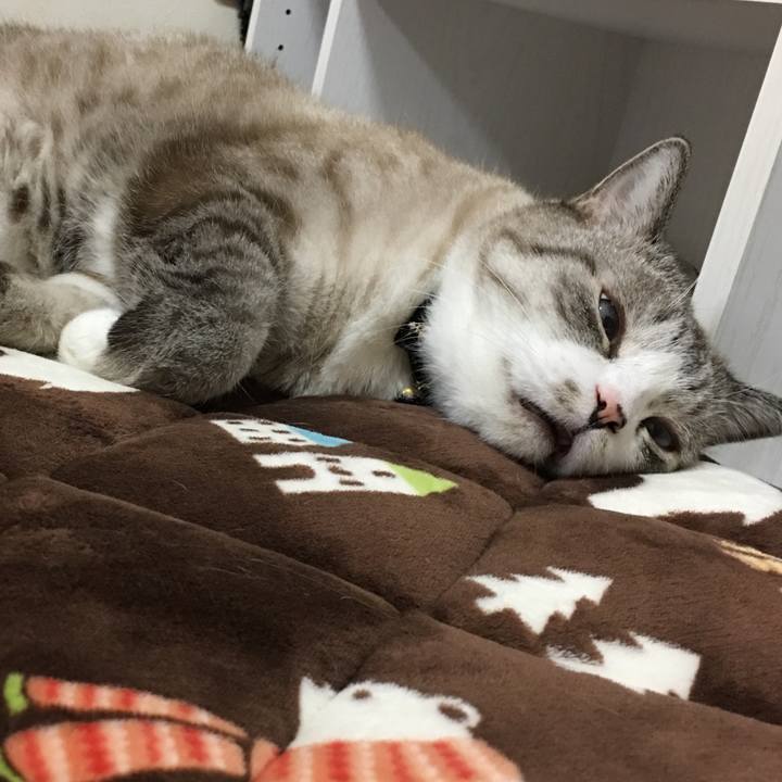 5945285d cfe9 42f5 994f 06f1f946ad2b