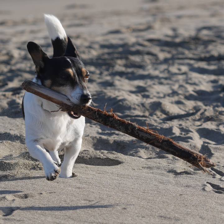 5945420c 05e0 40be 95a8 b894e3580e61