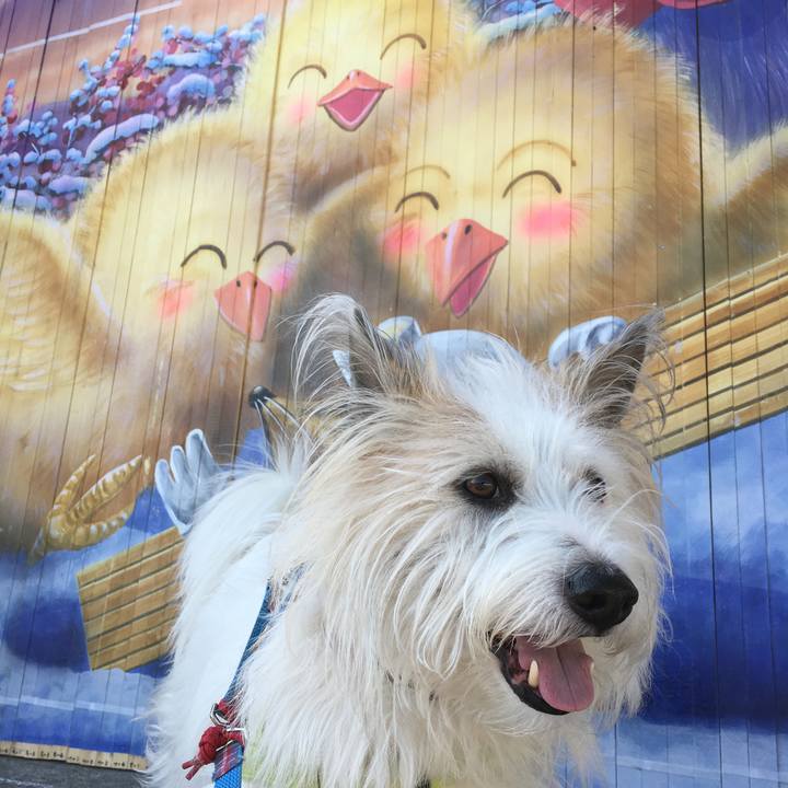 59454c5e aa45 4d16 9218 2182299e9d59