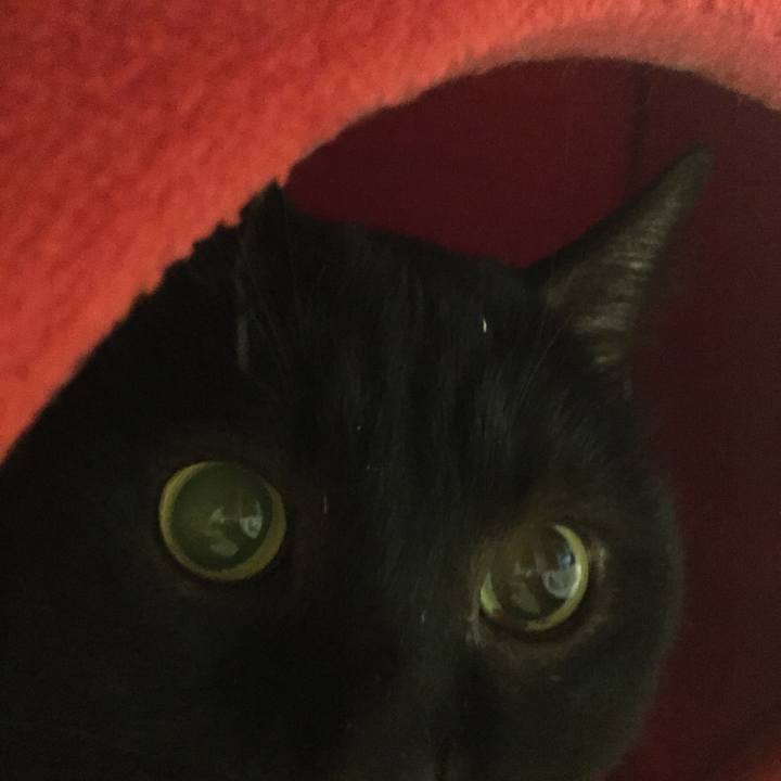 5945674d 04c7 4563 b772 c83a42931b7a